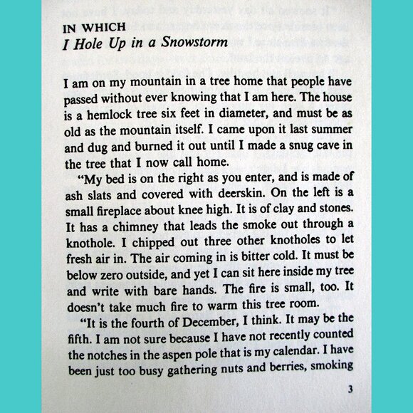 Book: My Side of the Mountain, written & illustrated by Jean Craighead George - Picture 3 of 15